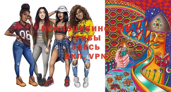 МДПВ Нефтегорск